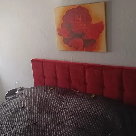 Casa Pura Vida レース